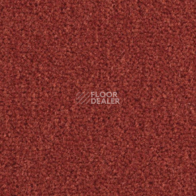 Ковролин Balsan Majestic 547 фото 1 | FLOORDEALER
