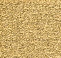 Ковролин Emphatic Beaulieu of America 56243 фото 1 | FLOORDEALER