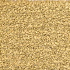 Ковролин Emphatic Beaulieu of America 56243 фото 1 | FLOORDEALER