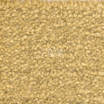 Ковролин Emphatic Beaulieu of America 56243 фото 1 | FLOORDEALER