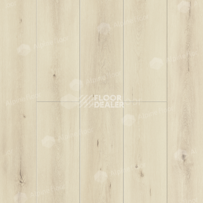 Кварцвиниловые полы Alpine Floor Solo Plus 4мм Дуб Ададжио ECO14-401 фото 1 | FLOORDEALER