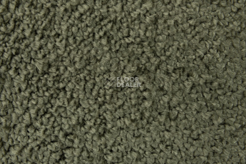 AW Daydream AW Daydream  24 фото 3 | FLOORDEALER