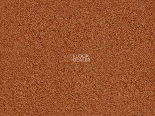 Ковролин Balta ITC Amaize Edison 54 фото 1 | FLOORDEALER