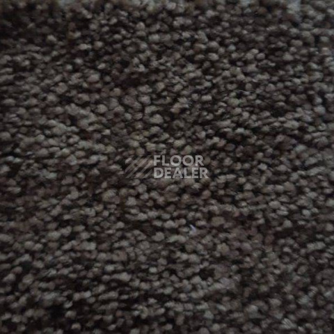 Ковролин Condor Carpets Dynasty 42 фото 1 | FLOORDEALER