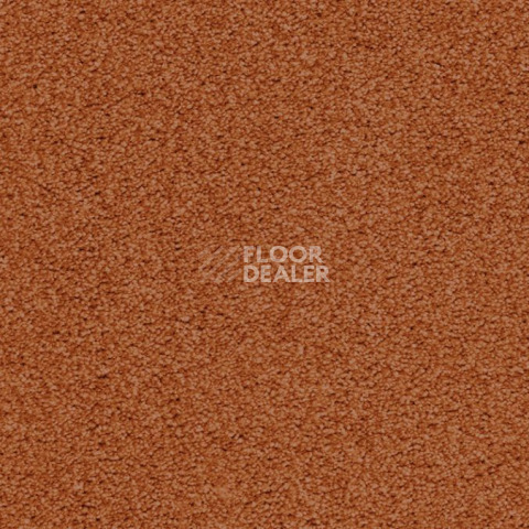 Ковролин Balta ITC Amaize Edison 54 фото 1 | FLOORDEALER