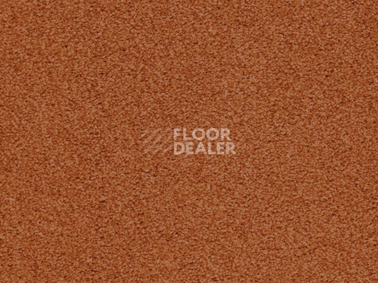 Ковролин Balta ITC Amaize Edison 54 фото 1 | FLOORDEALER