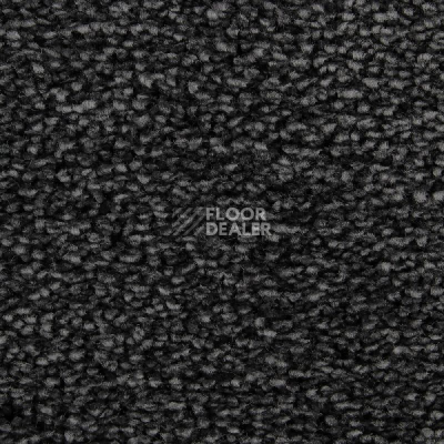 Ковролин Edel Wild Romance 181 фото 1 | FLOORDEALER