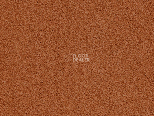 Ковролин Balta ITC Amaize Edison 54 фото 1 | FLOORDEALER