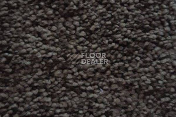 Ковролин CONDOR Carpets Dynasty 42 фото 1 | FLOORDEALER