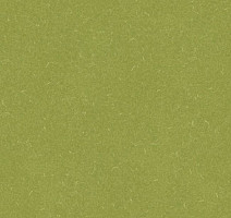 Линолеум Grabo Silver Knight Diamond Tech 886 фото 1 | FLOORDEALER