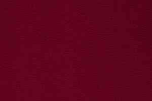 Ковролин Balta ITC Rossini 13 фото  | FLOORDEALER