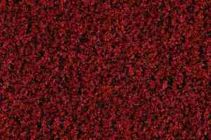 Грязезащитные покрытия Forbo Coral в плитке 5723 Cardinal Red фото  | FLOORDEALER