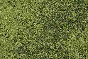 Ковровая плитка Interface Urban Retreat One 101/102/103 ur 103 327123 Grass фото  | FLOORDEALER