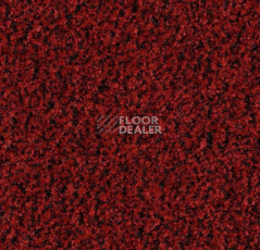 Грязезащитные покрытия Forbo Coral в плитке 5723 Cardinal Red фото 1 | FLOORDEALER
