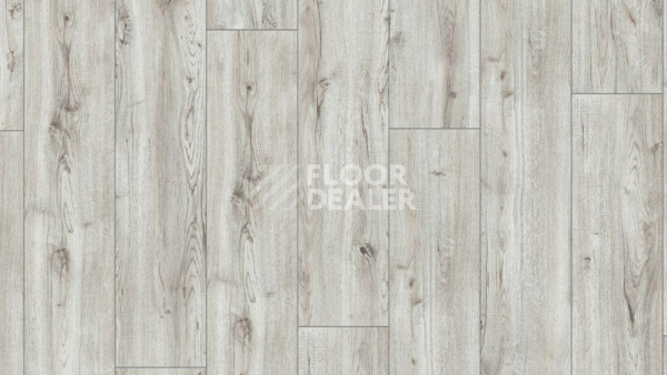 Ламинат Kronotex Exquisit Plus d3660 Дуб Монтмело Кремовый фото 1 | FLOORDEALER