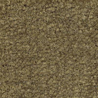 Emphatic Beaulieu of America 56314 фото 1 | FLOORDEALER