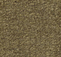 Ковролин Emphatic Beaulieu of America 56314 фото 1 | FLOORDEALER