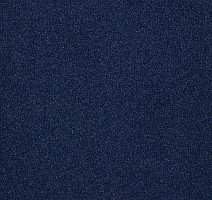 Ковролин Big Splendor 890 фото 1 | FLOORDEALER