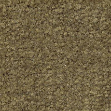 Emphatic Beaulieu of America 56314 фото 1 | FLOORDEALER