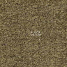 Ковролин Emphatic Beaulieu of America 56314 фото 1 | FLOORDEALER