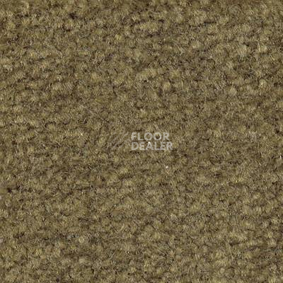 Ковролин Emphatic Beaulieu of America 56314 фото 1 | FLOORDEALER