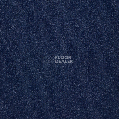 Ковролин Big Splendor 890 фото 1 | FLOORDEALER