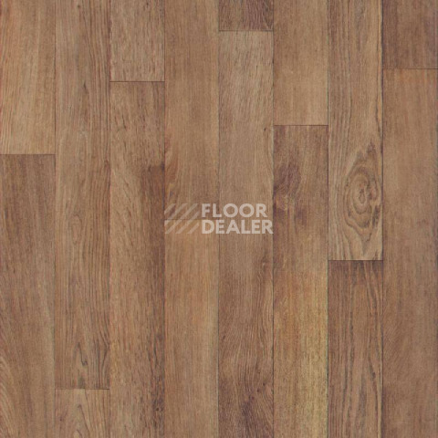 Линолеум Tarkett Evolution Tobago 2 фото 1 | FLOORDEALER