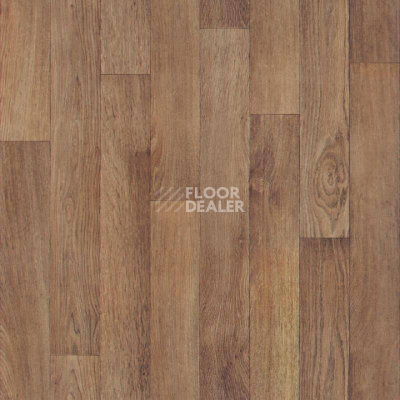 Линолеум Tarkett Evolution Tobago 2 фото 1 | FLOORDEALER