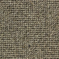 Ковролин Edel Centre Point 259 фото 1 | FLOORDEALER