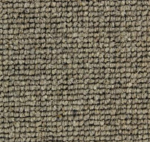 Ковролин Edel Centre Point 259 фото 1 | FLOORDEALER