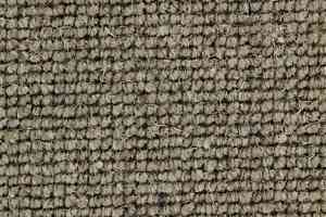 Ковролин Edel Centre Point 259 фото  | FLOORDEALER