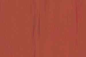 Линолеум Lino Fatra DUAL 309 фото  | FLOORDEALER