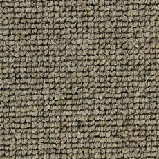 Ковролин Edel Centre Point 259 фото 1 | FLOORDEALER