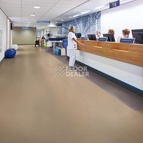 Forbo Marmoleum Solid Concrete 3730-373035 Stella фото 3 | FLOORDEALER