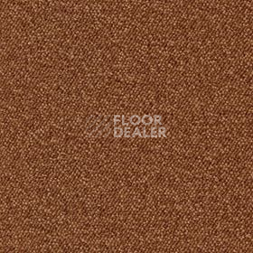 Ковролин Associated Weavers Maxima 85 фото 1 | FLOORDEALER