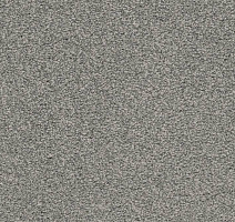 Ковролин Balta ITC Amaize Edison 93 фото 1 | FLOORDEALER