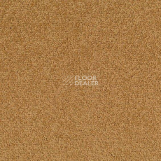 Ковровая плитка Desso Palatino 2306 фото 1 | FLOORDEALER