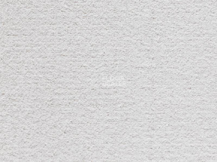 Ковролин Balta Noble Saxony Noble Saxony 0900 фото 1 | FLOORDEALER