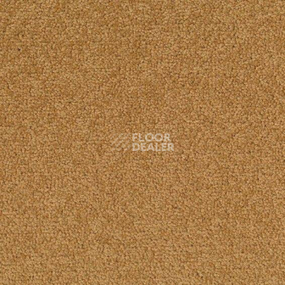 Ковровая плитка Desso Palatino 2306 фото 1 | FLOORDEALER