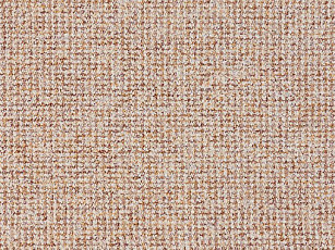 Ковролин Balta Brazil 720 фото 1 | FLOORDEALER