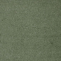 Ковролин AW Masquerade Fedone 26 фото 1 | FLOORDEALER