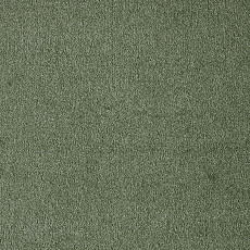 Ковролин AW Masquerade Fedone 26 фото 1 | FLOORDEALER