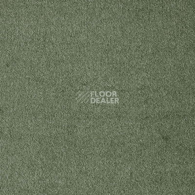 Ковролин AW Masquerade Fedone 26 фото 1 | FLOORDEALER