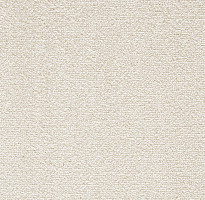 Ковролин Big Sense Hightlights 331 фото 1 | FLOORDEALER