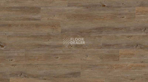 Кварцвиниловые полы Creation 55 0457_Buffalo фото 1 | FLOORDEALER