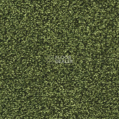 Ковровая плитка Balsan Ultrasoft Planks 270 фото 1 | FLOORDEALER