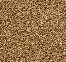 Ковролин Ege Epoca Silky 0838630 фото 1 | FLOORDEALER