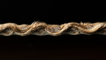 Tasibel Allegro 2809 фото 5 | FLOORDEALER