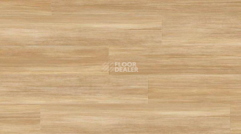 Кварцвиниловые полы Creation 55 0857_Stripe_Oak_Honey фото 1 | FLOORDEALER