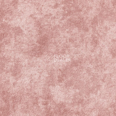 Ковролин AW Aspetto 60 фото 1 | FLOORDEALER